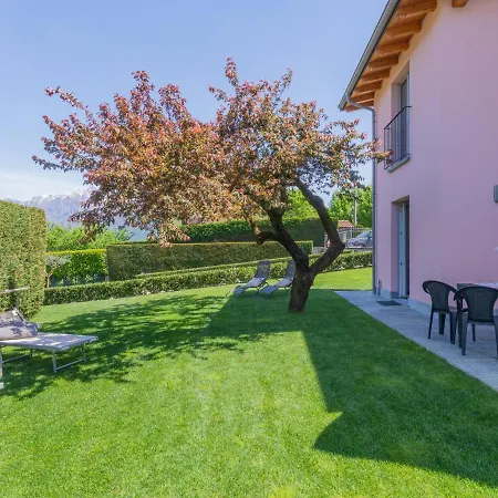 Orchidea - Cco555 By Interhome