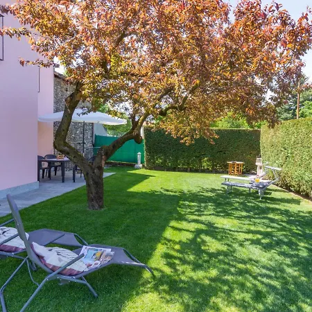 Orchidea - Cco555 By Interhome * Colico